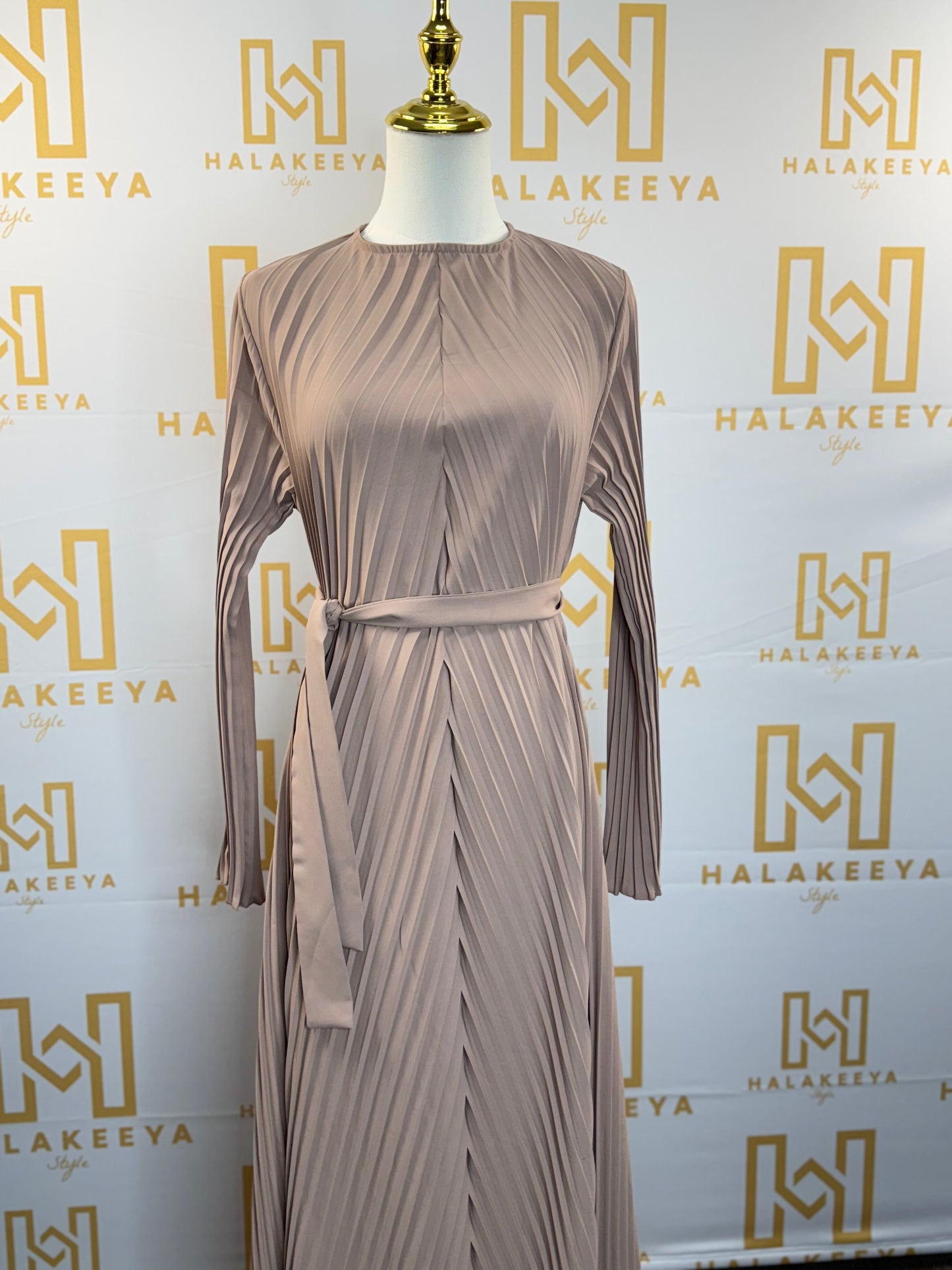 Pleated Long Sleeves Dress
