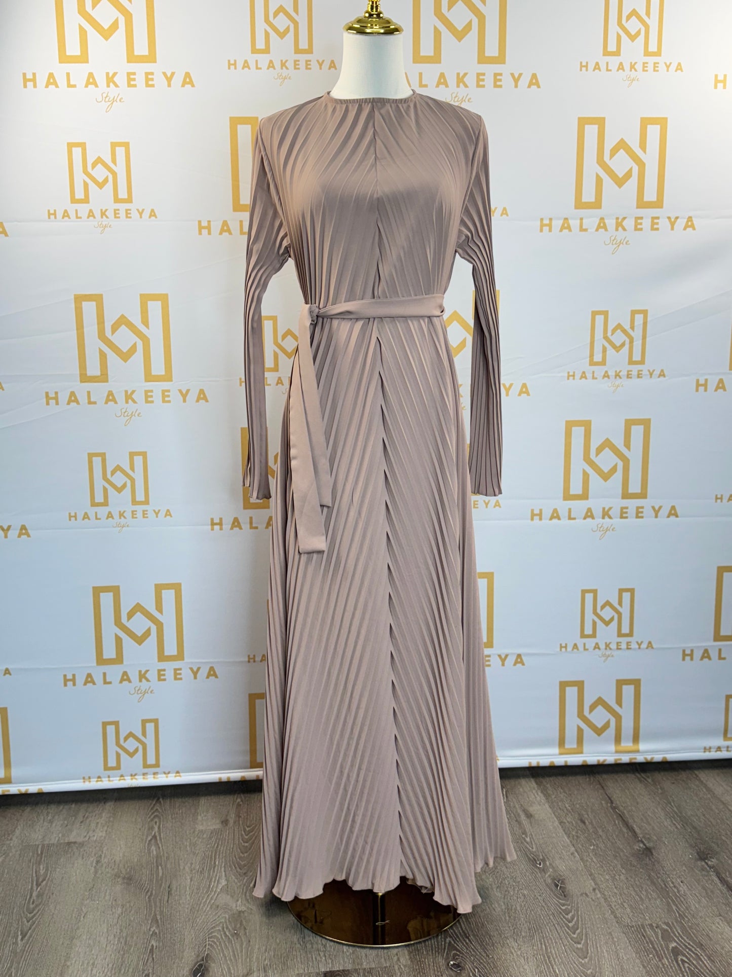 Pleated Long Sleeves Dress