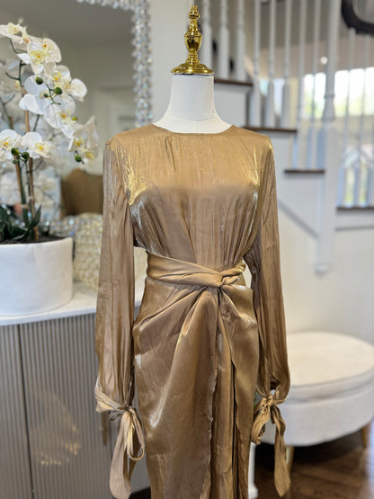 2 Pcs shinny Organza Dress With Wrap Skirt