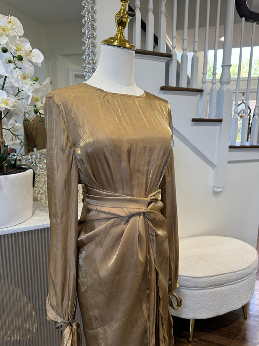 2 Pcs shinny Organza Dress With Wrap Skirt
