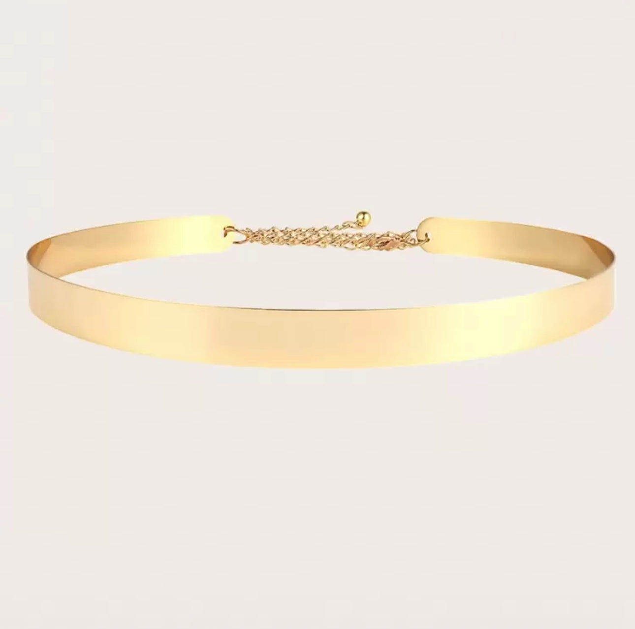 Metallic gold or Silver adjustable waist Belt