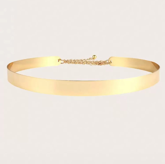 Metallic gold or Silver adjustable waist Belt